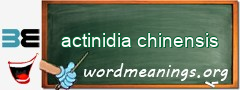 WordMeaning blackboard for actinidia chinensis